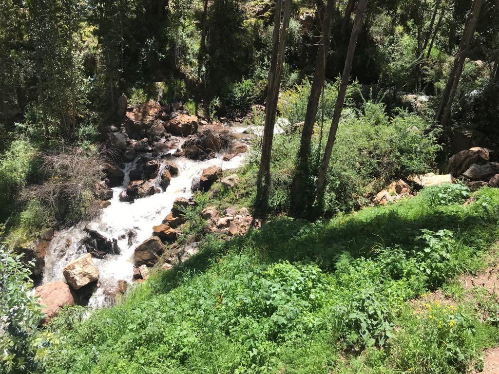 Bamboo Lodge Sacred Valley 皮萨克 外观 照片