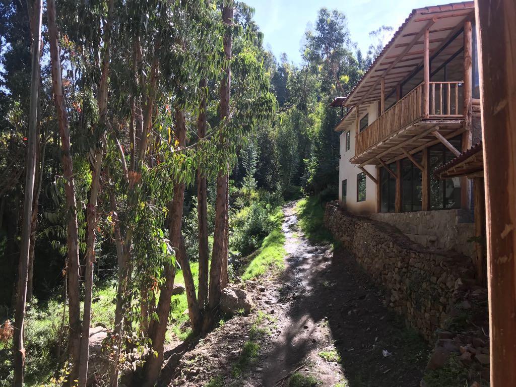 Bamboo Lodge Sacred Valley 皮萨克 外观 照片